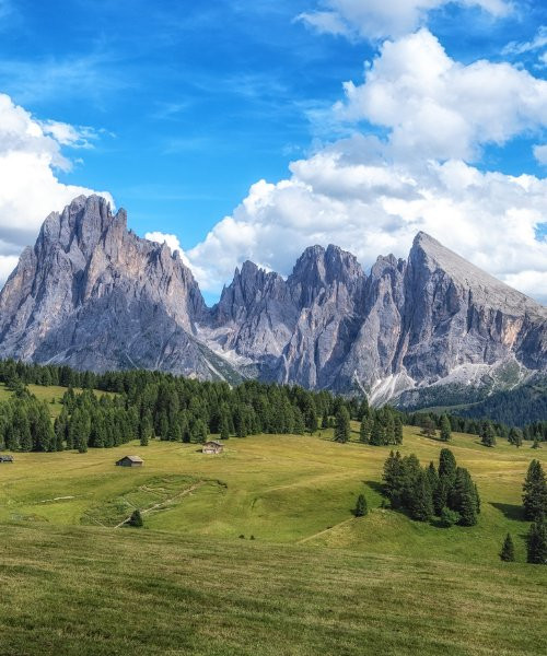 Alpe di Siusi - Dolomites - Italie