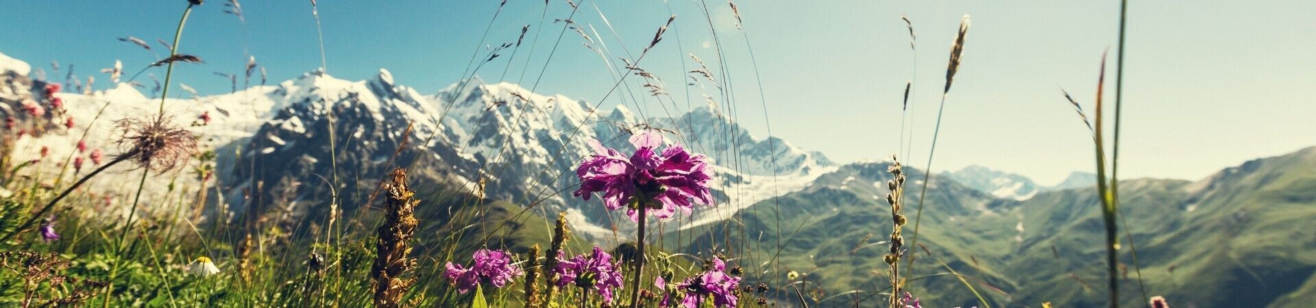 Dove andare in primavera in Europa?