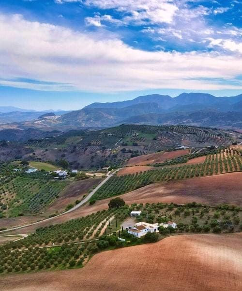 Colline andaluse tra Olvera e Puerto Serrano - Andalusia - Spagna