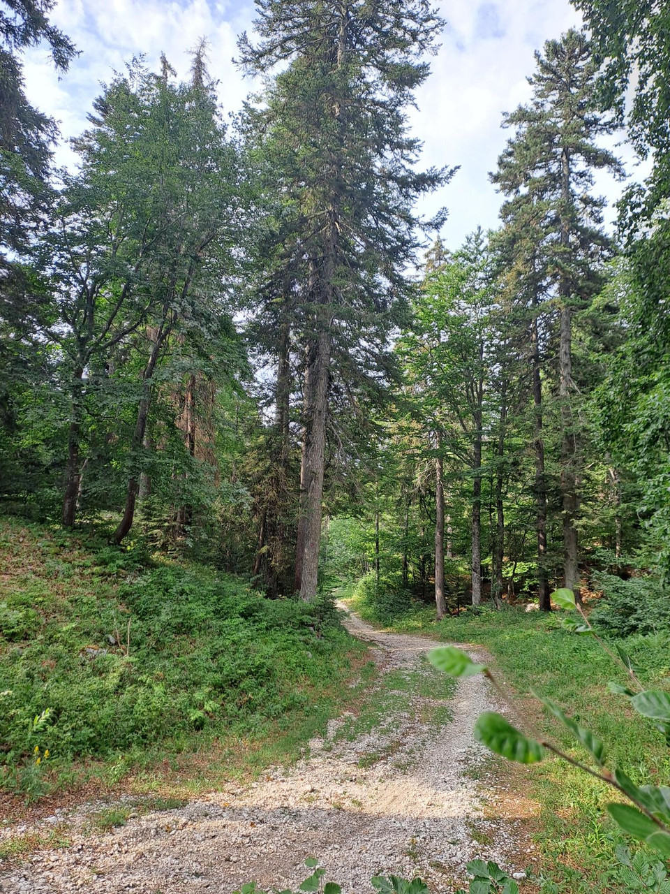 Parco naturale del Vercors - Dal patrimonio naturale a quello gastronomico