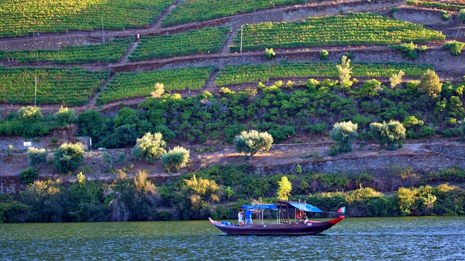 © Authentic Trails Barca rabelo sul Douro e vigneti terrazzati - Portogallo