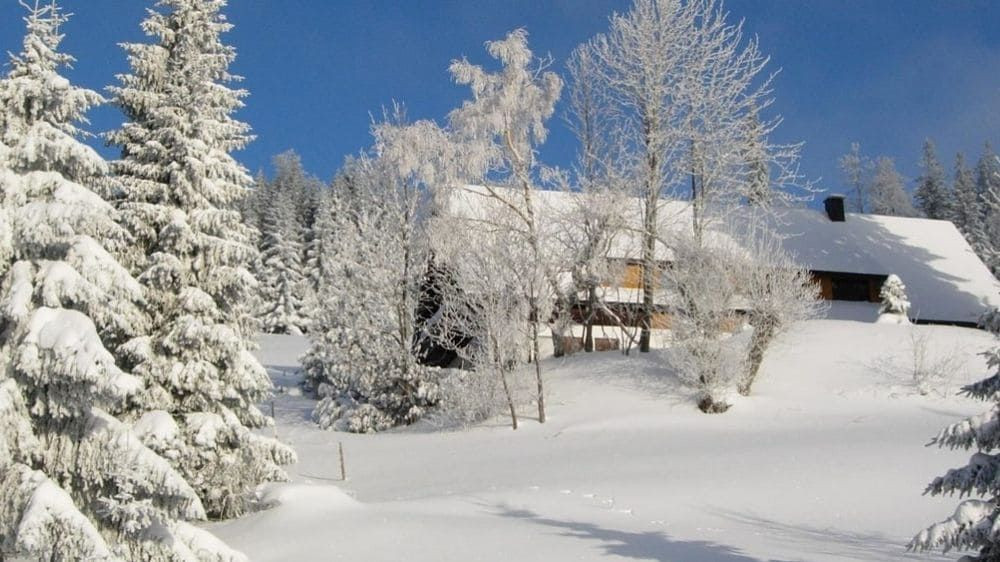 Paesaggio della Foresta Nera in inverno - Germania