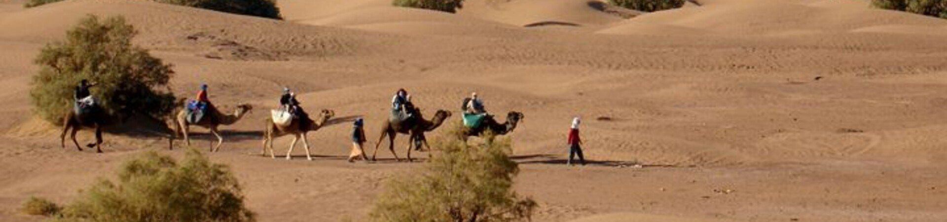 Viaggi, camminate, trekking ed escursioni nel deserto nel 2026