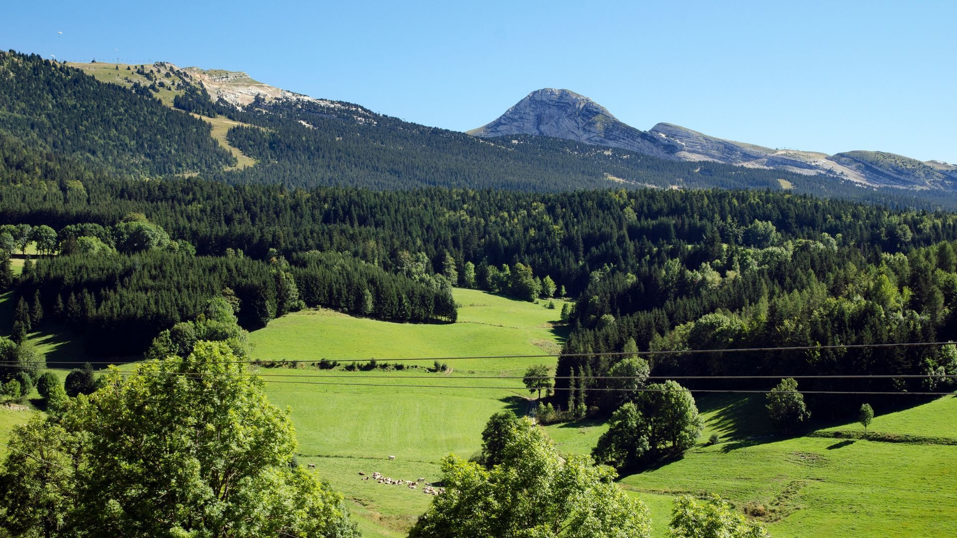 Bicicletta da trekking