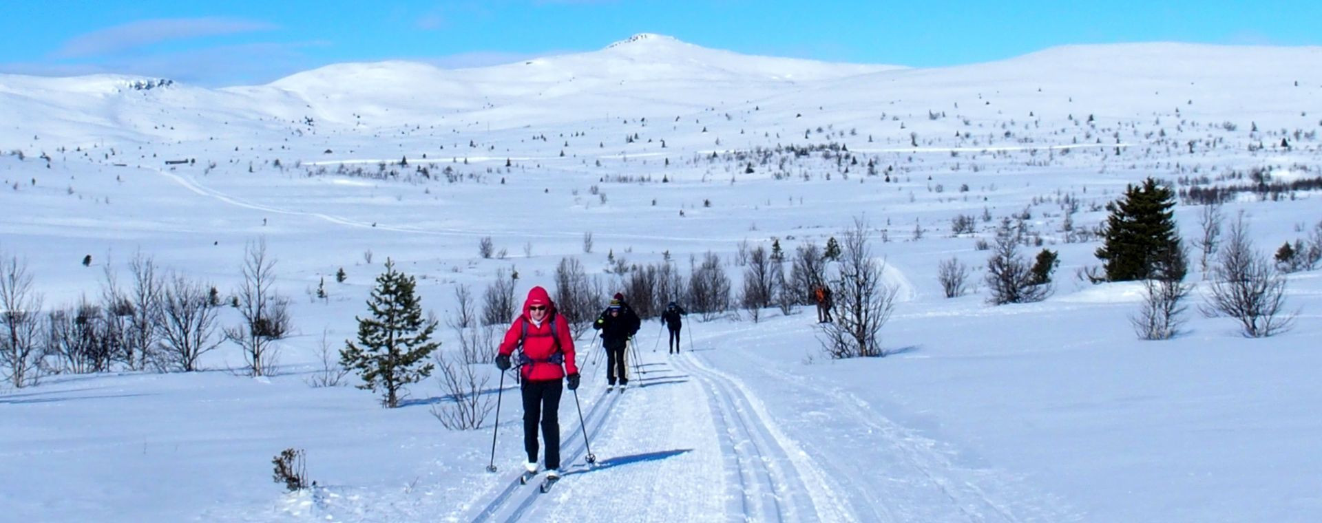 Fondisti classici sull’altopiano innevato di Venabu - Norvegia
