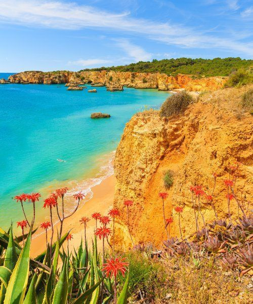 Scogliere e spiaggia di Praia da Rocha - Algarve - Portogallo