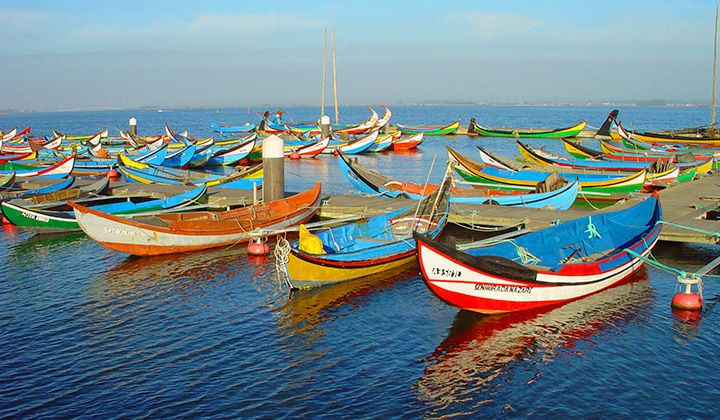 Barche da pesca colorate - costa atlantica - Portogallo