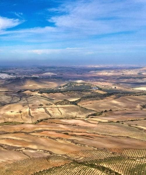 Campagna intorno ad Arcos de la Frontera - Andalusia - Spagna