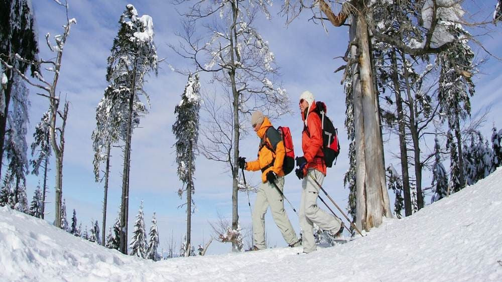 Coppia di escursionisti con le ciaspole - Foresta Nera - Germania