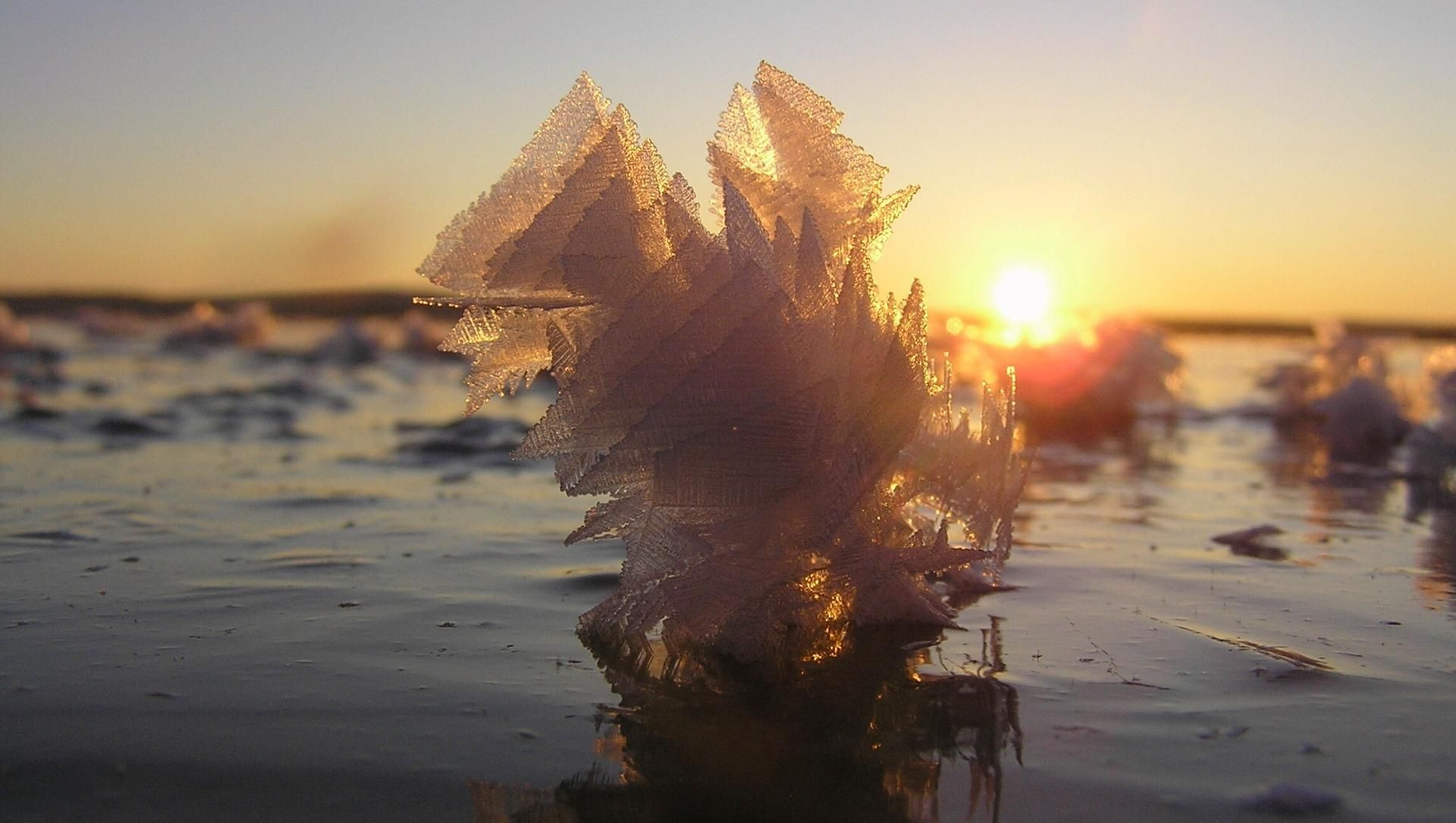 Cristalli di brina su un lago ghiacciato al tramonto - Lapponia - Finlandia