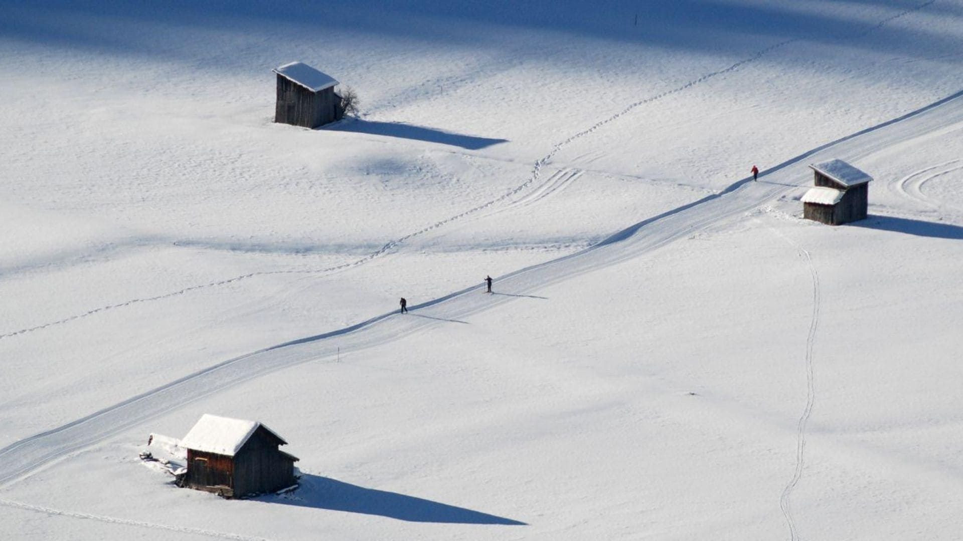 Piste de ski de fond à Sexten - Dolomites - Italie