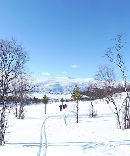 Pista da sci di fondo nella valle innevata di Sjoa - Norvegia