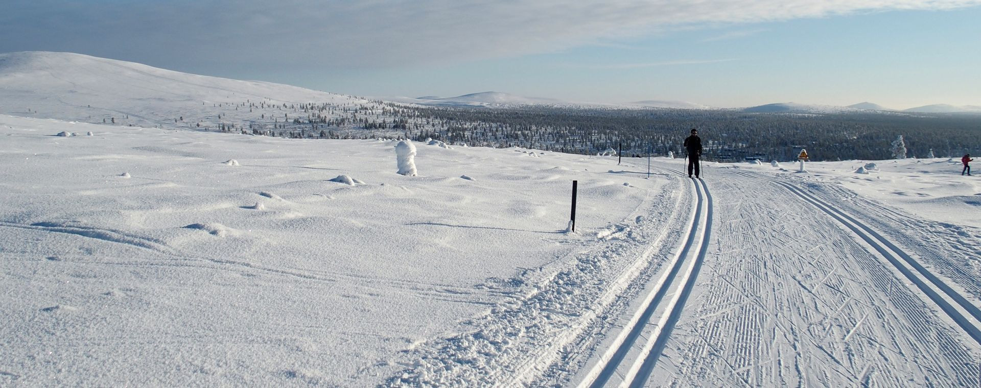Pista da sci di fondo - Saariselkä - Lapponia - Finlandia
