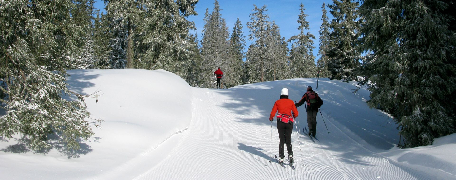 Pista da sci di fondo a Sjusjøen - Norvegia