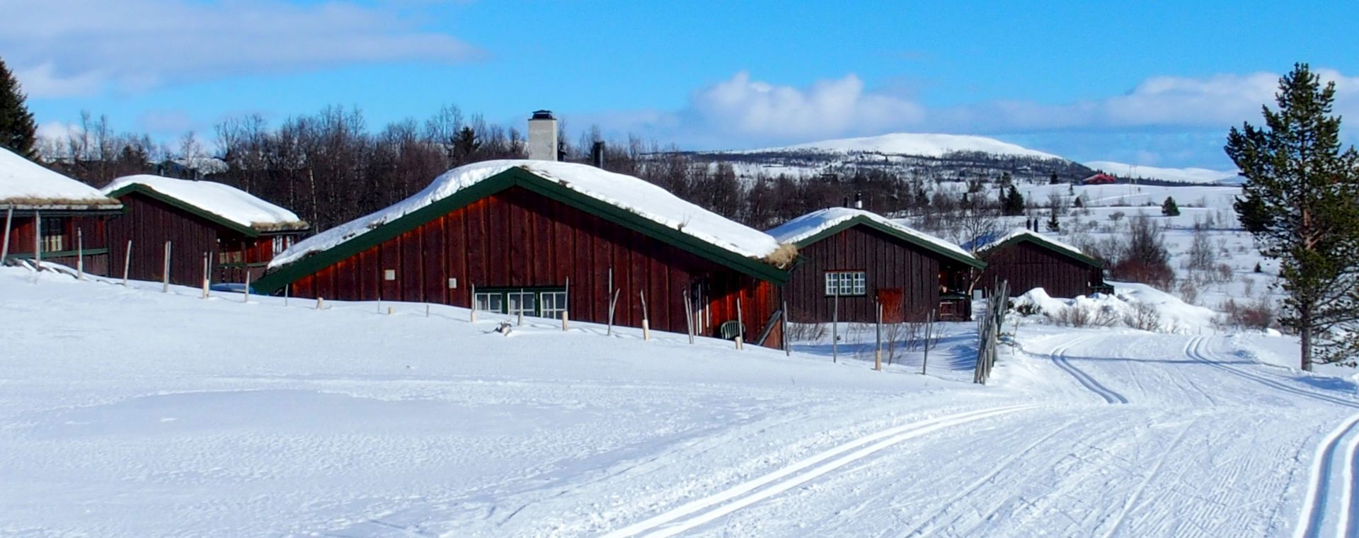 Pista da sci di fondo a Venabu - Norvegia