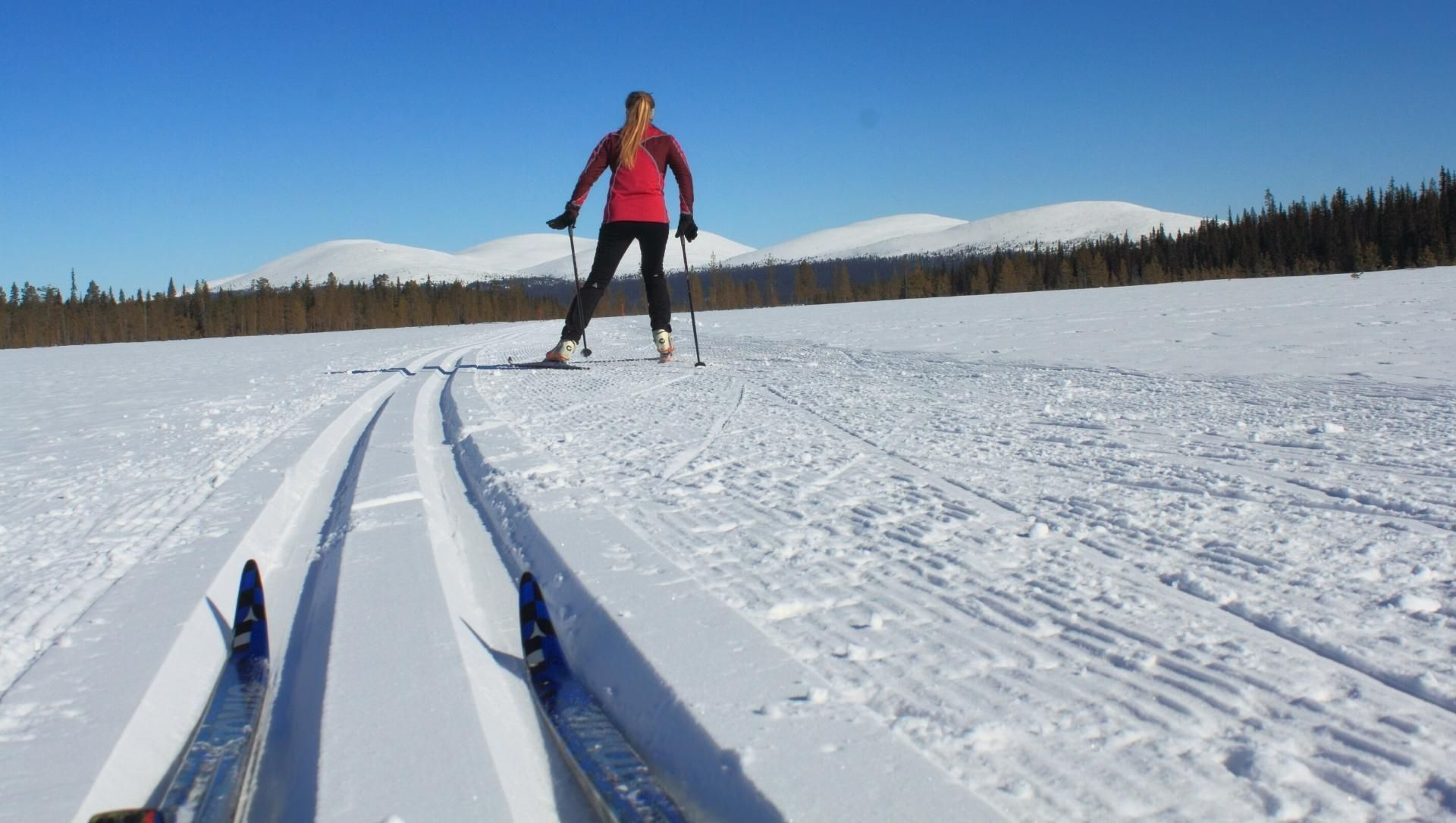 Sciatrice di fondo su pista battuta - Lapponia finlandese - Finlandia