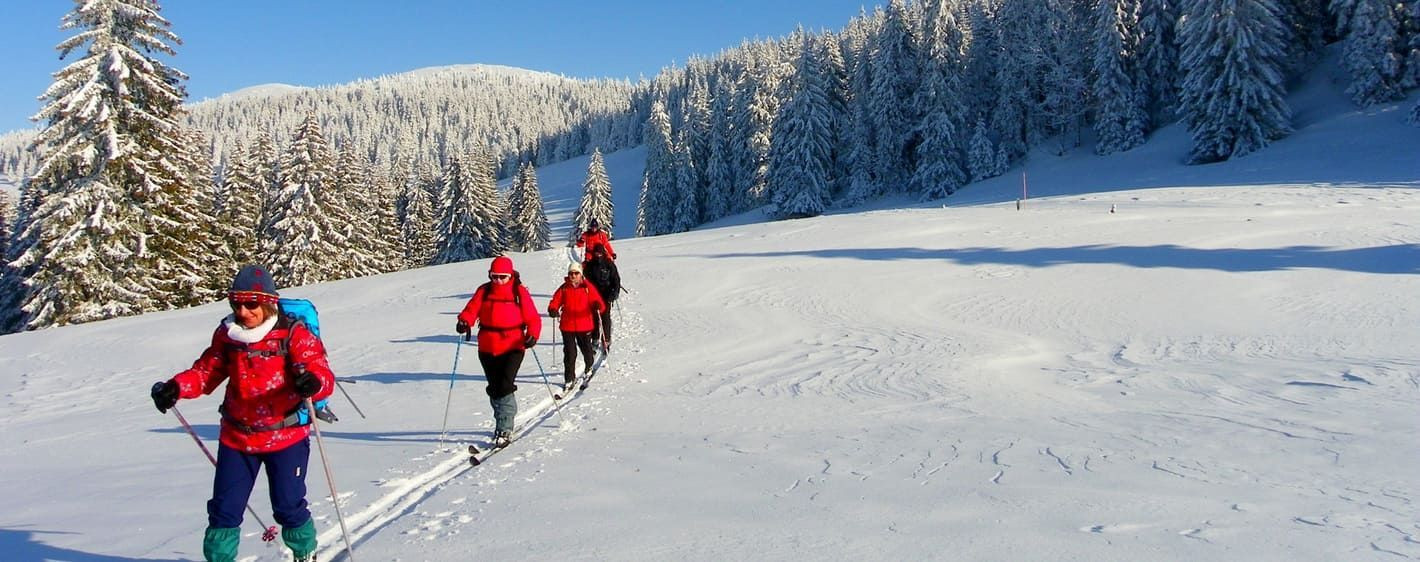 Sciatori di fondo escursionistico nel bosco innevato - Giura - Francia