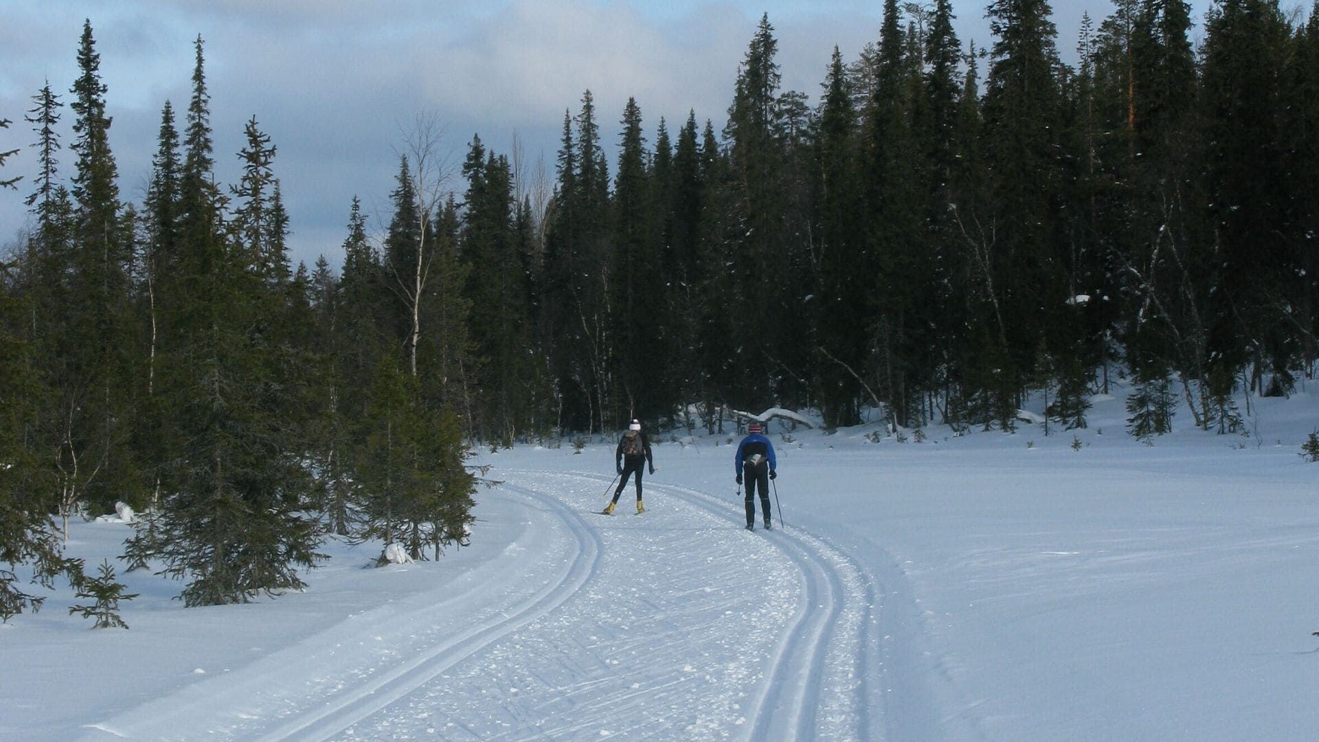 Due fondisti su una pista nel bosco - Lapponia - Finlandia