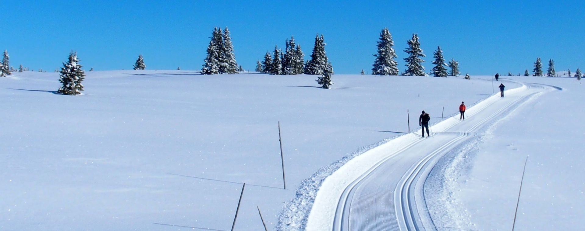 Sciatori di fondo su una pista battuta innevata - Golsfjellet - Norvegia
