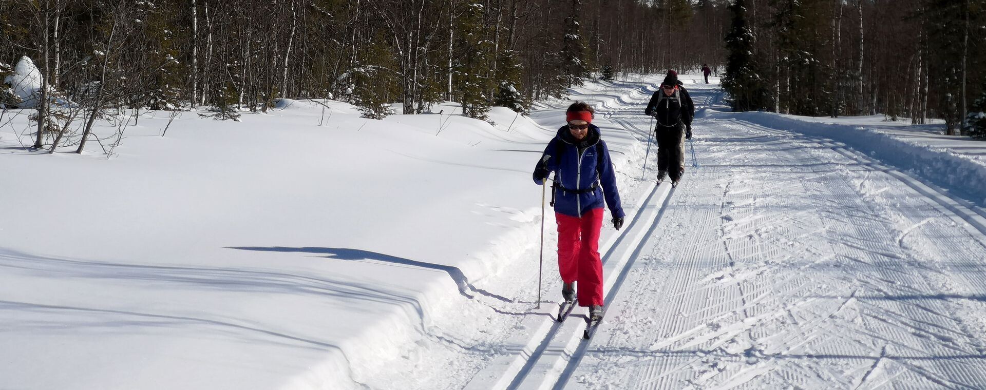 Fondisti nella foresta innevata - Levi - Lapponia finlandese