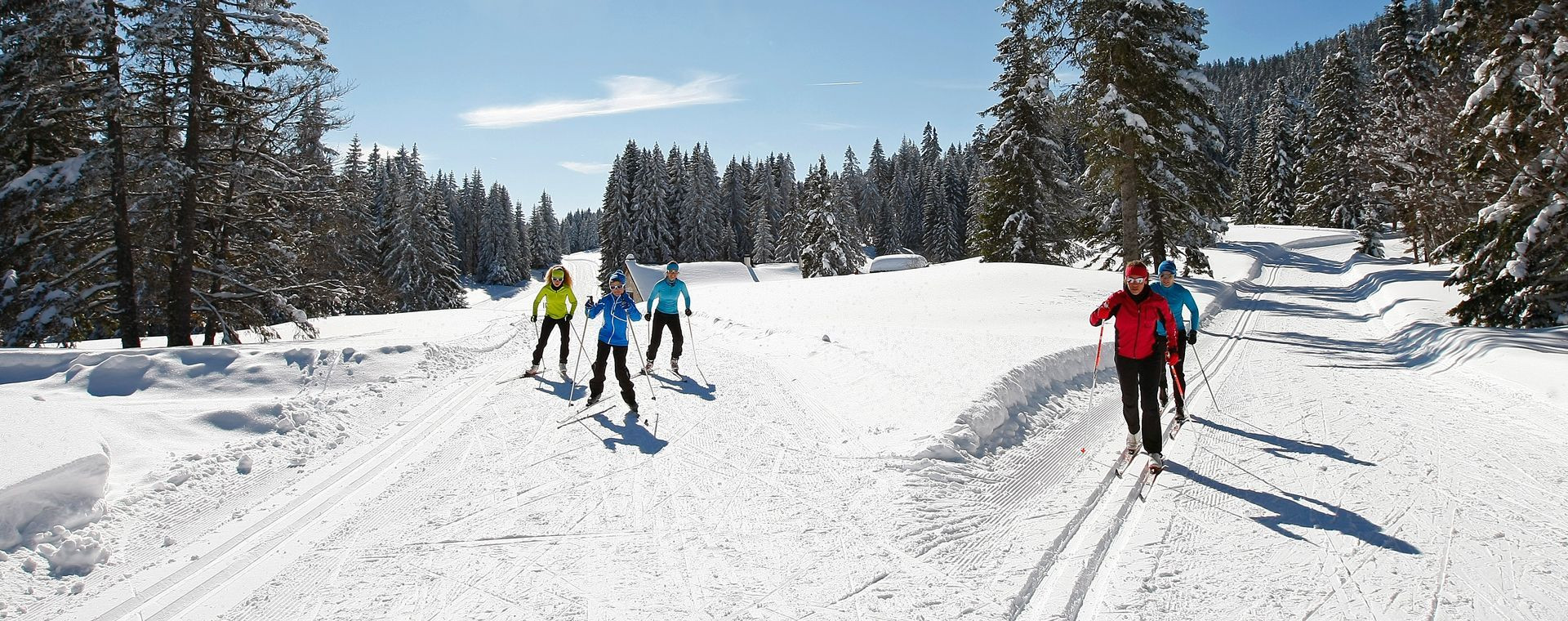 Sciatori di fondo sulle piste innevate nel bosco - Autrans-Méaudre - Vercors