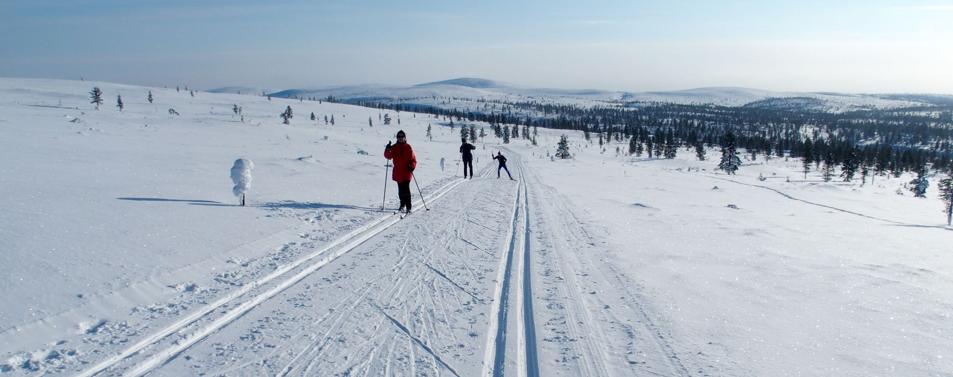 Sci di fondo nei grandi spazi innevati - Lapponia finlandese - Finlandia