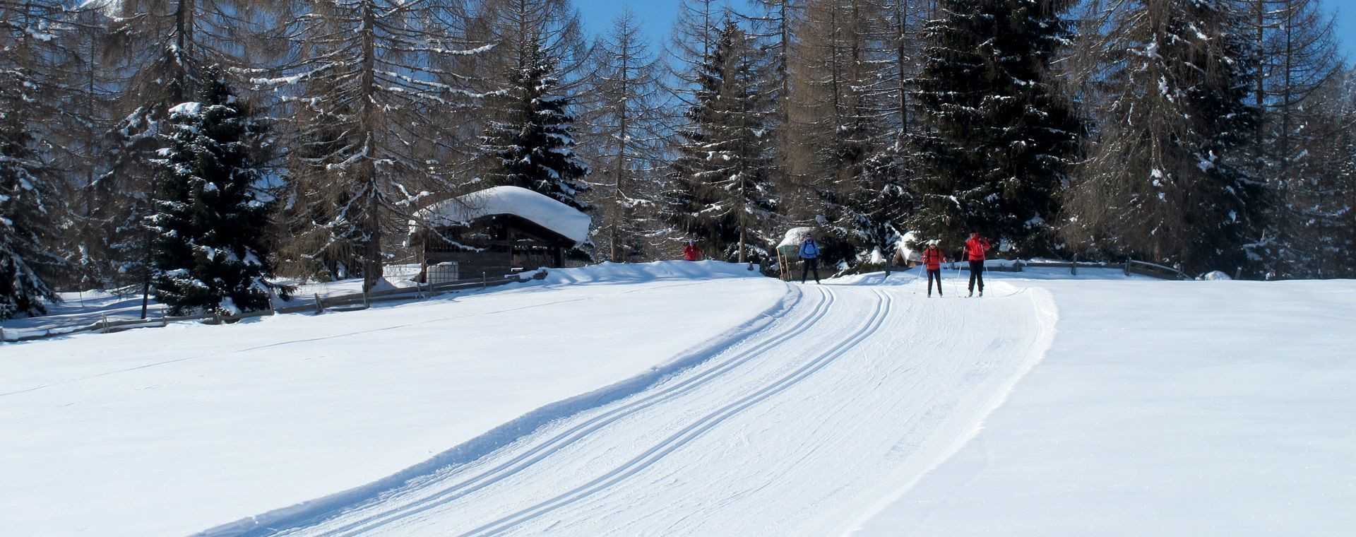 Sci di fondo tra i larici innevati - Leutasch - Tirolo - Austria