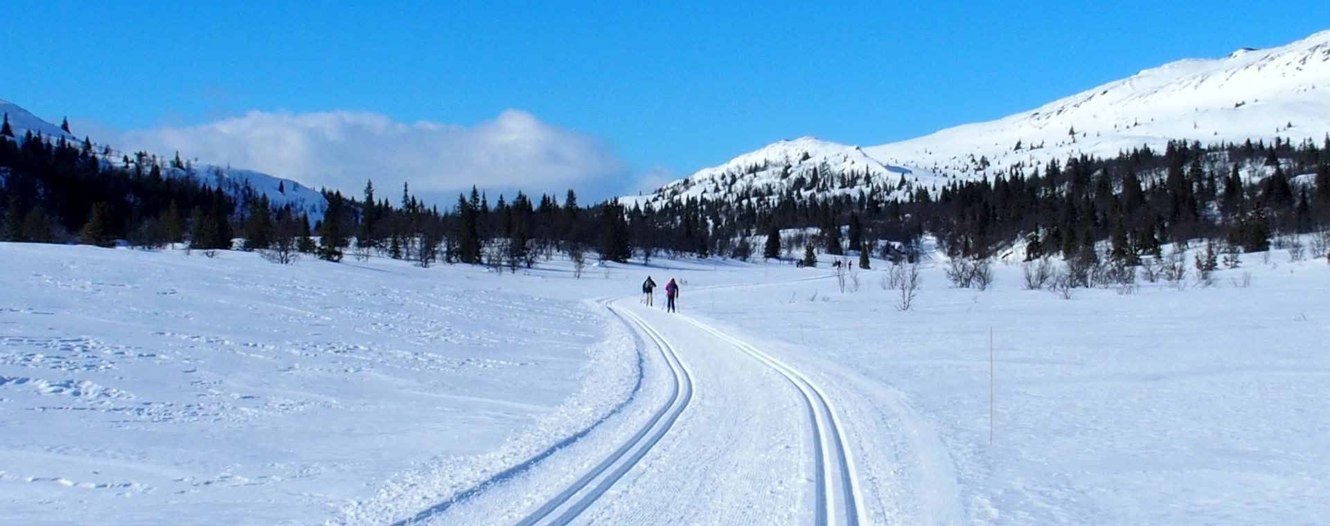 Sci di fondo a Venabu - Norvegia
