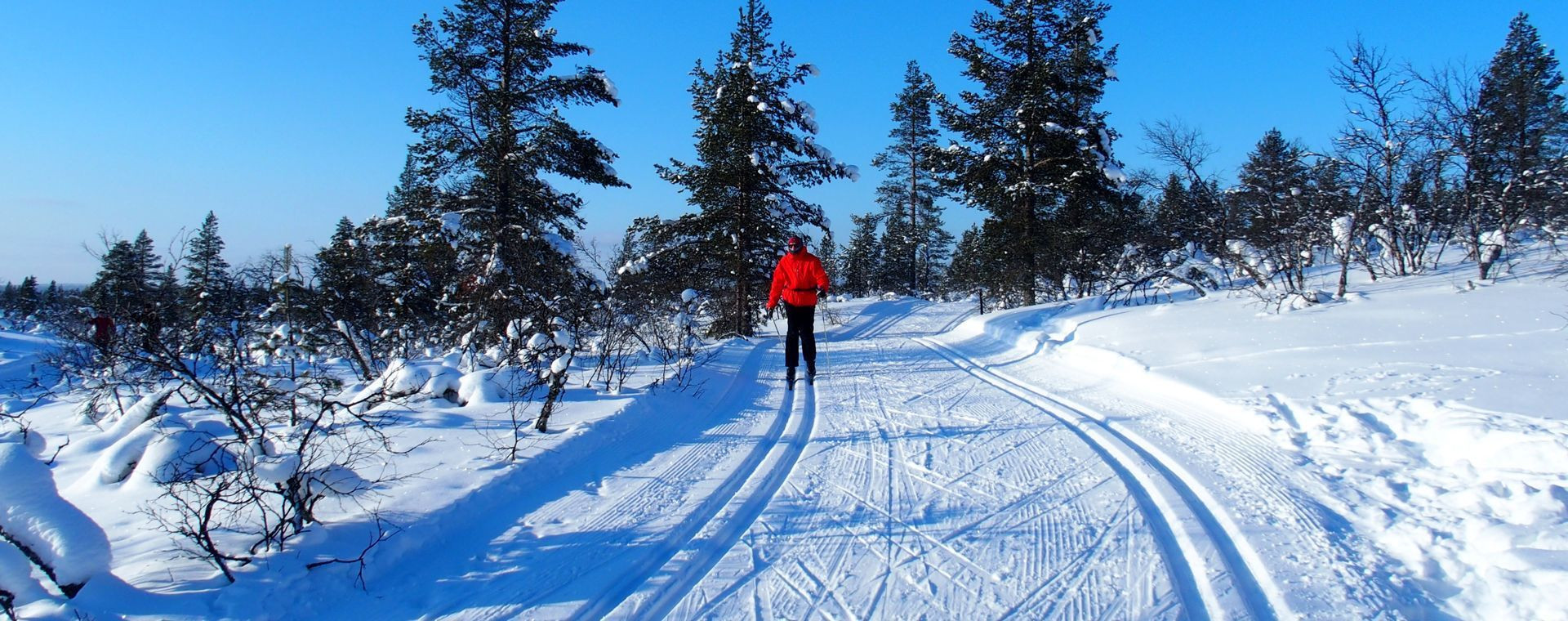 Sci di fondo a Kiilopää - Lapponia - Finlandia