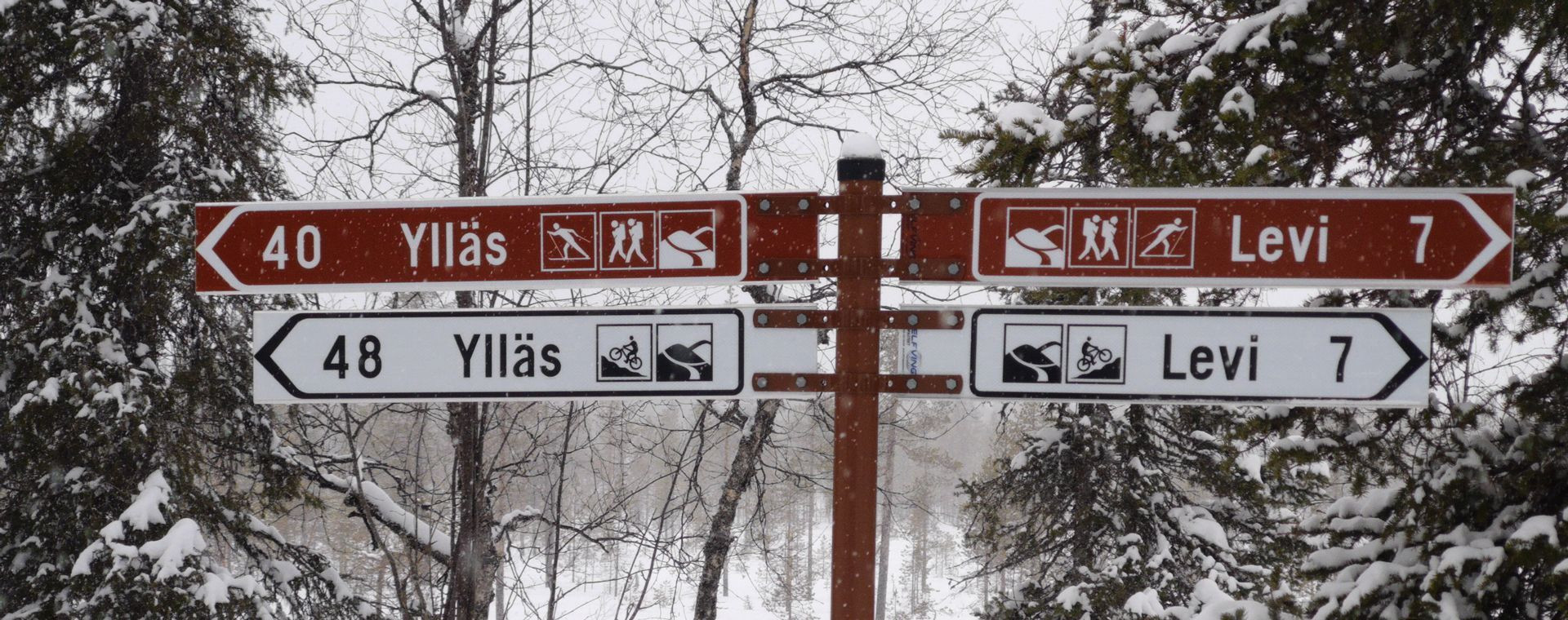 Sci di fondo a Levi - Lapponia - Finlandia