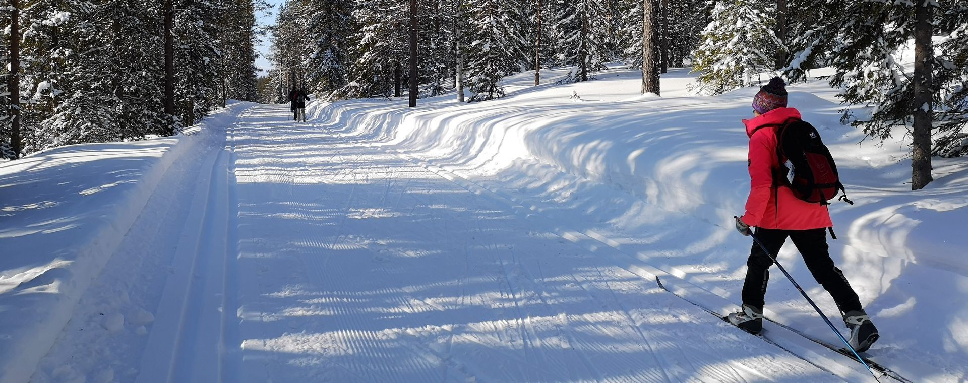 Sci di fondo a Levi - Lapponia - Finlandia