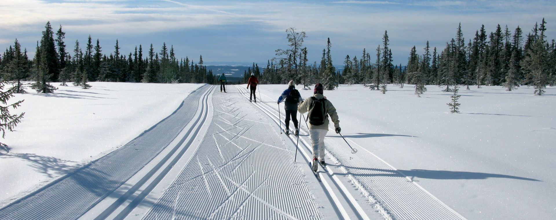 Sci di fondo su pista battuta dell’altopiano boscoso - Sjusjøen - Norvegia
