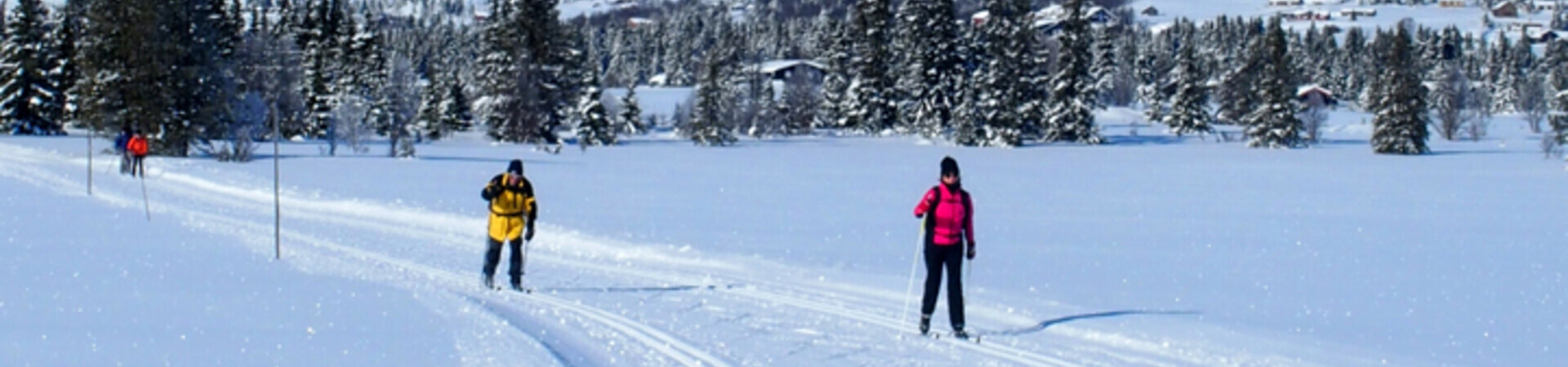 Sci di fondo sul Golsfjellet - Norvegia