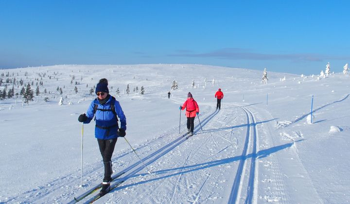 Sci di fondo sull’altopiano innevato - Kiilopää - Lapponia - Finlandia