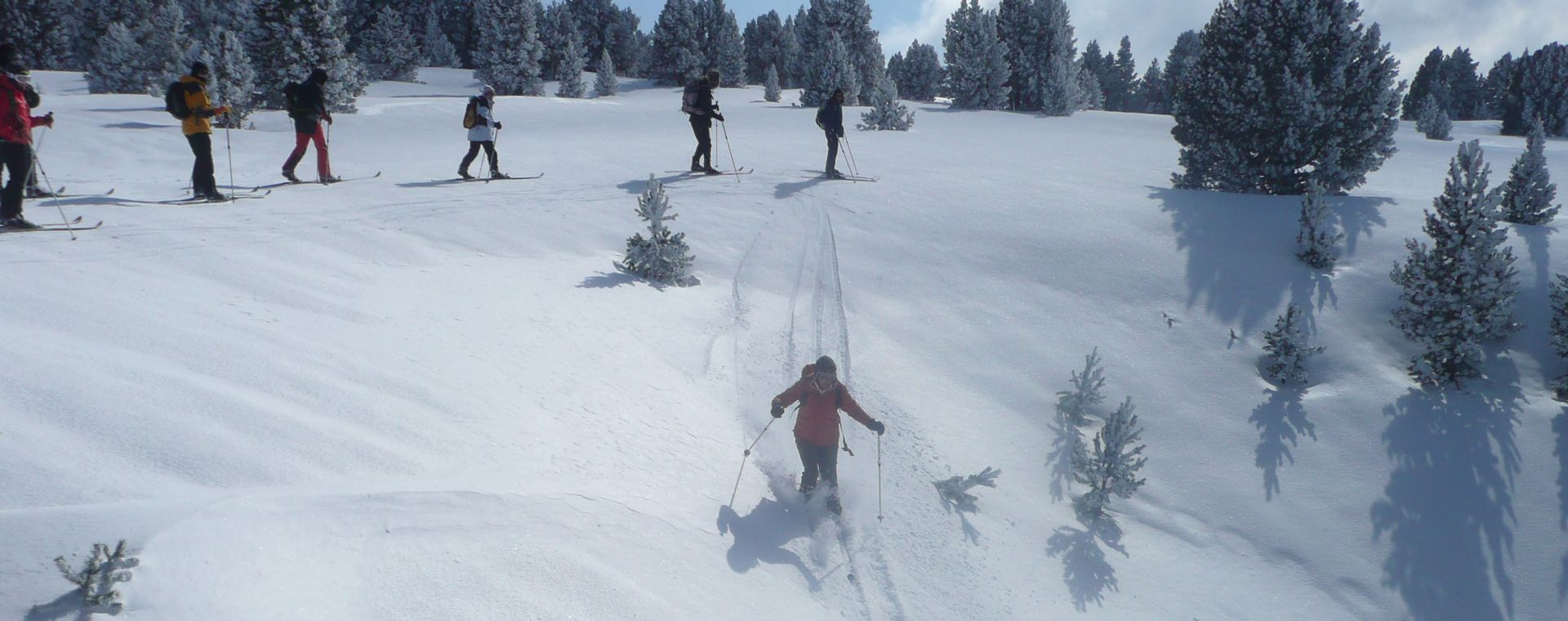 Sci nordico nella foresta innevata - cuore del Vercors - Alpi - Francia