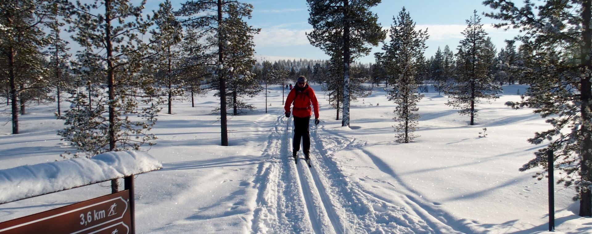 Sci di fondo nella pineta - Saariselkä - Lapponia - Finlandia