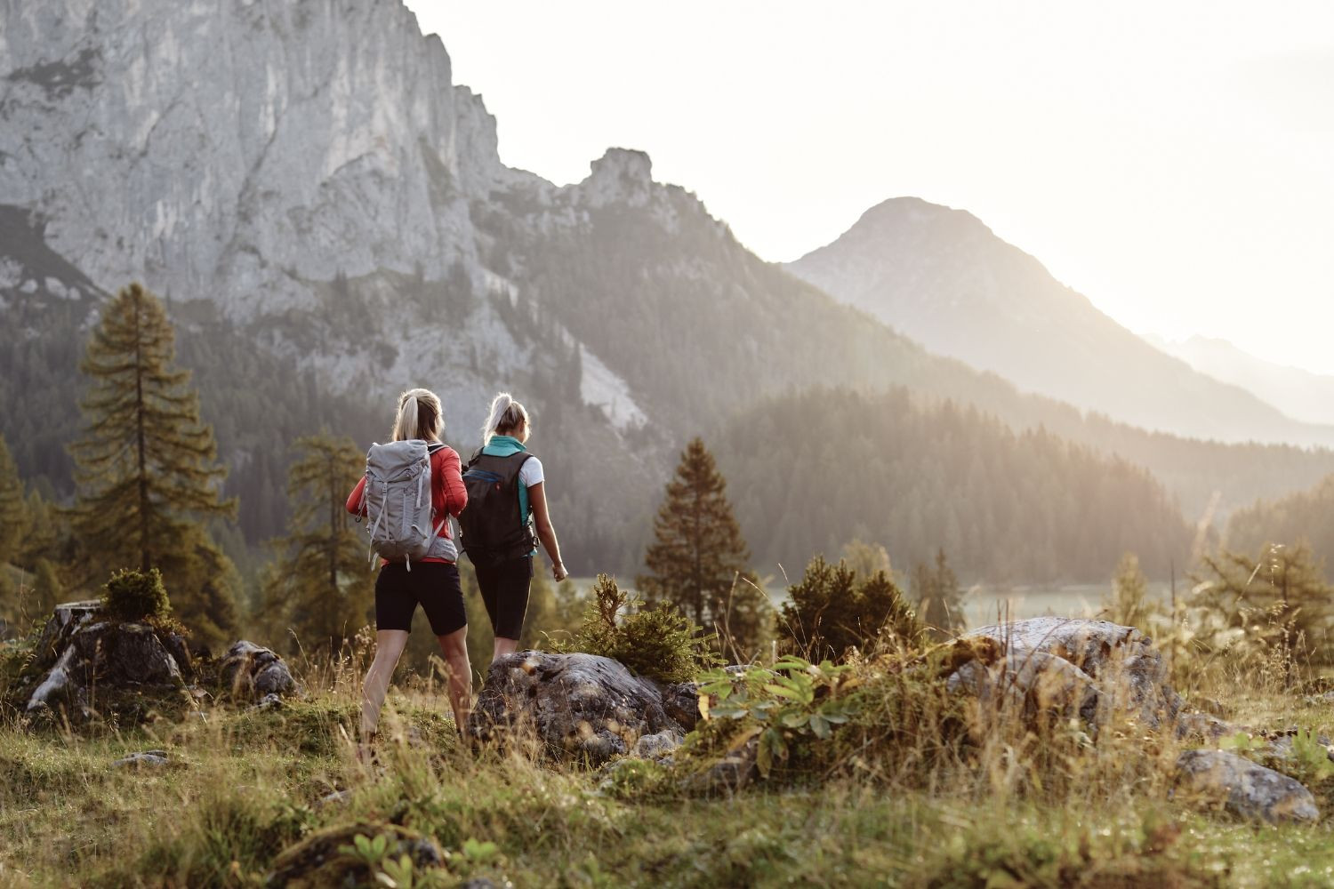 Ho prenotato un viaggio in libertà