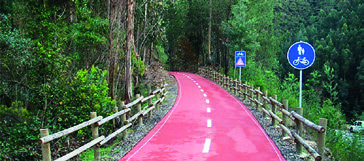 Pista ciclabile tra le pinete - Portogallo