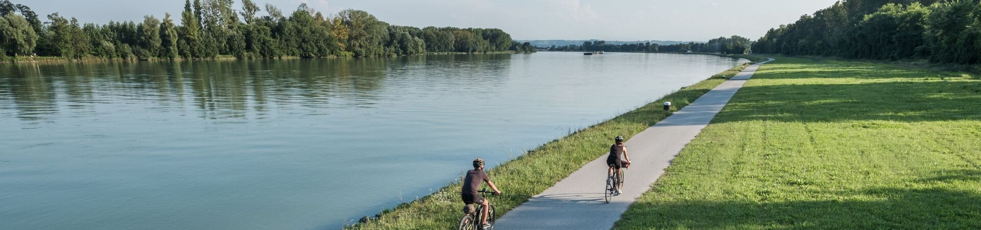Ciclisti sulla pista ciclabile lungo il Danubio - Germania