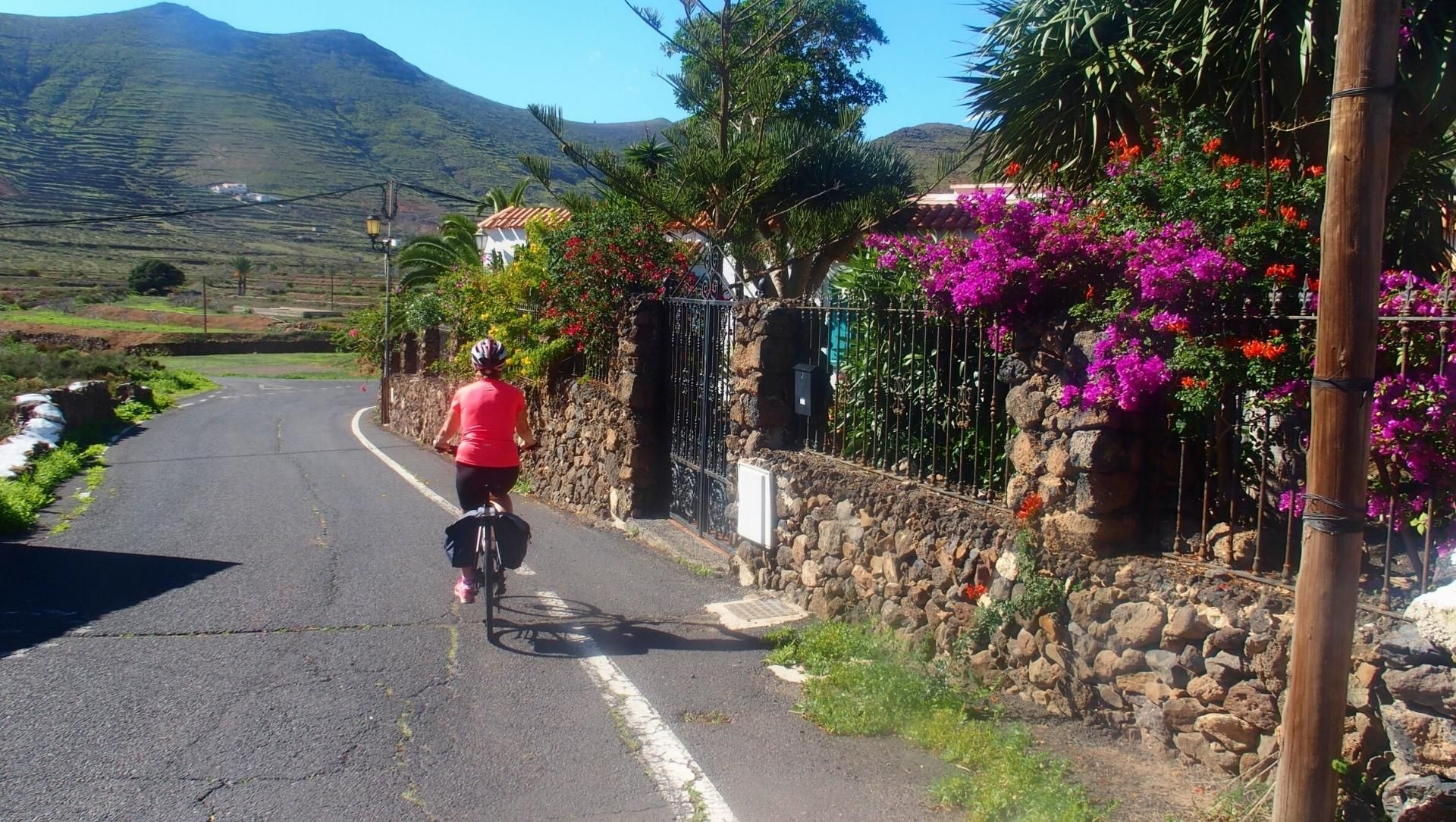 Cicloturista su una strada fiorita - Lanzarote - Canarie - Spagna