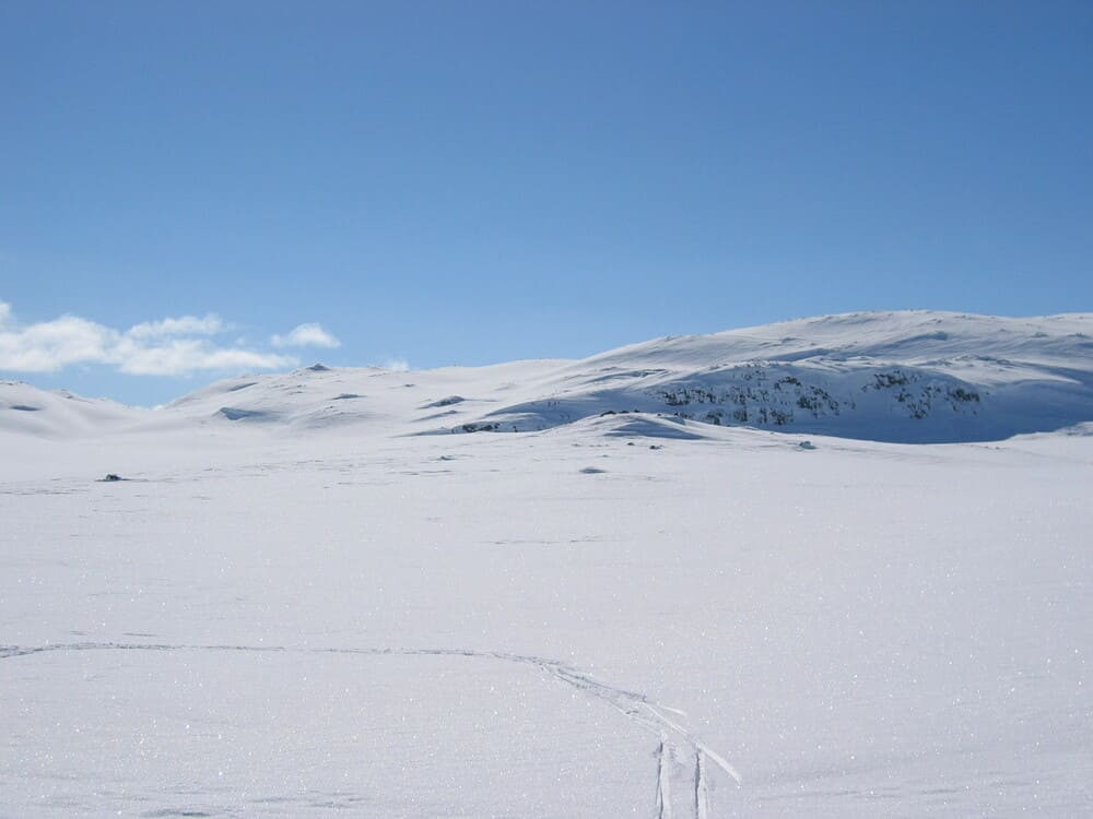 Deserto bianco