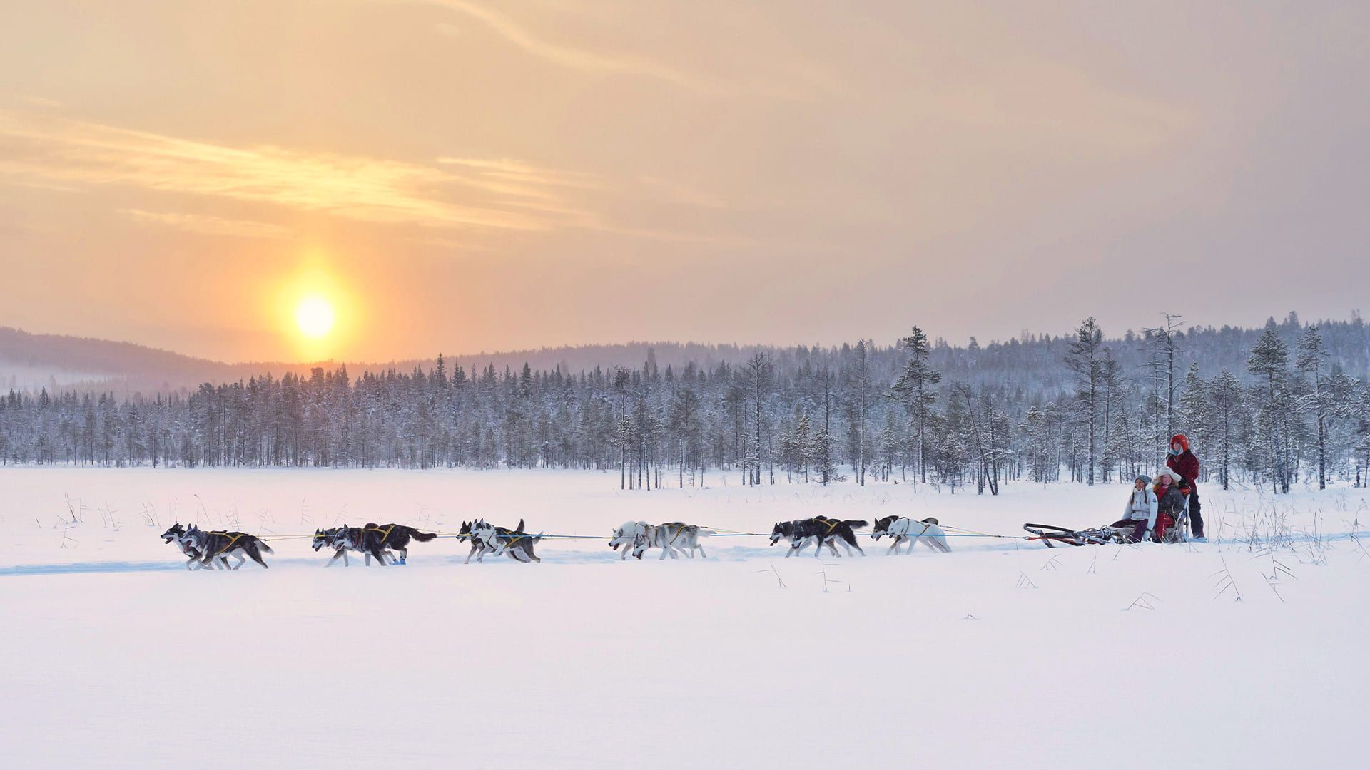 Viaggi nel Grande Nord