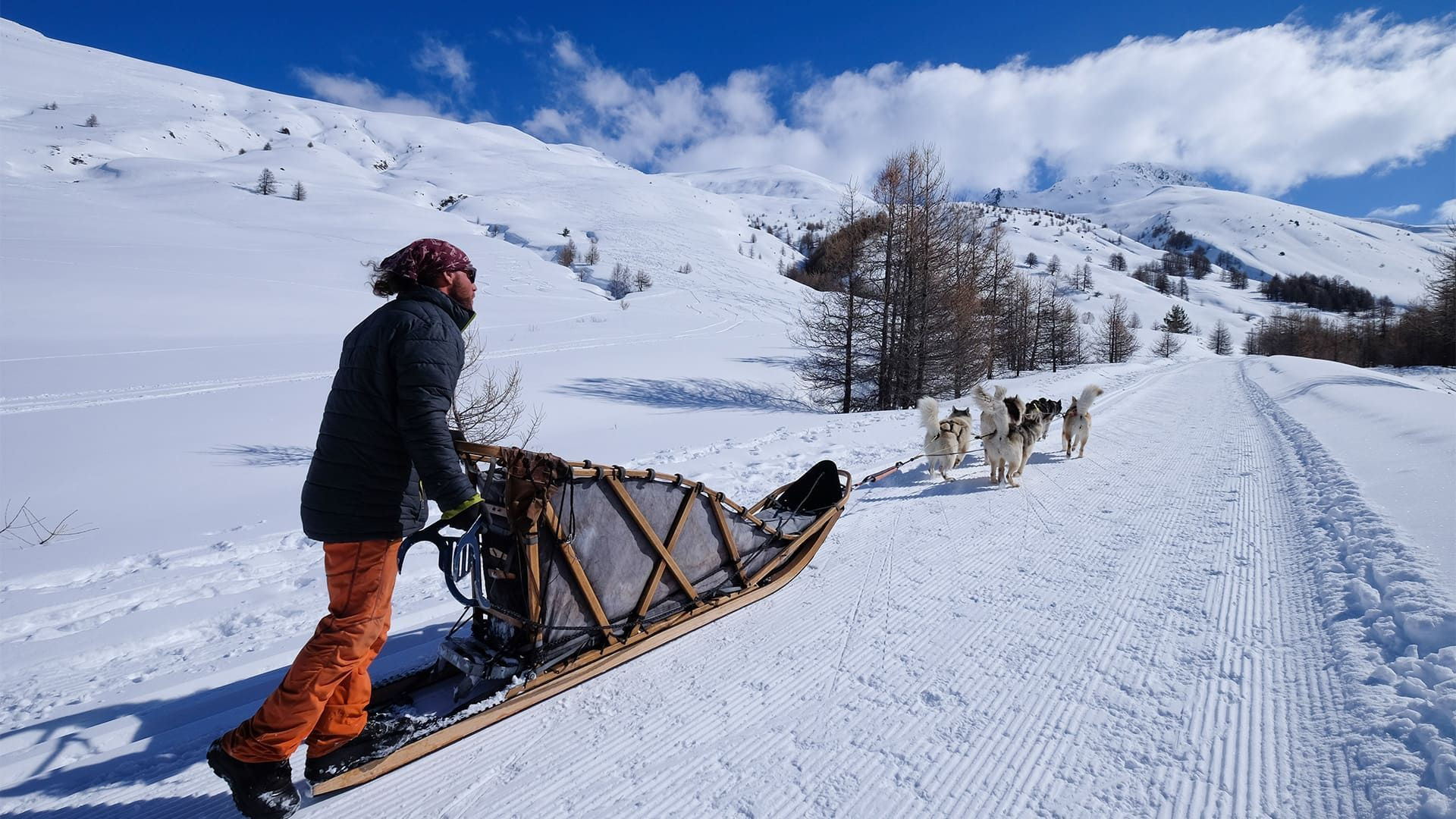 Slitte trainate da cani sui sentieri innevati - Queyras - Alpi - Francia