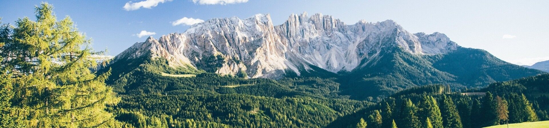 Massiccio delle Dolomiti e foreste di conifere - Tirolo - Italia