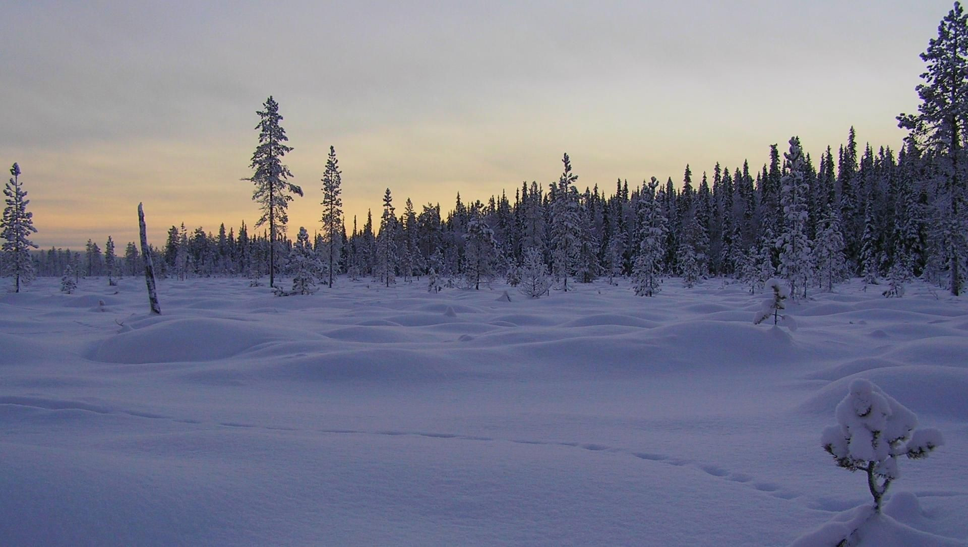 Tramonto su un paesaggio innevato in Lapponia - Finlandia