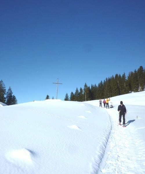 Verso Spicherhaldealpe