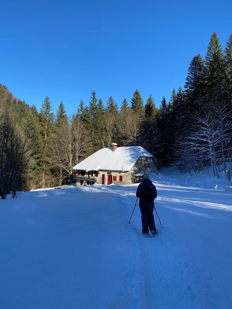 Escursionista con le ciaspole diretto al rifugio d’Esparron in inverno - Vercors - Francia