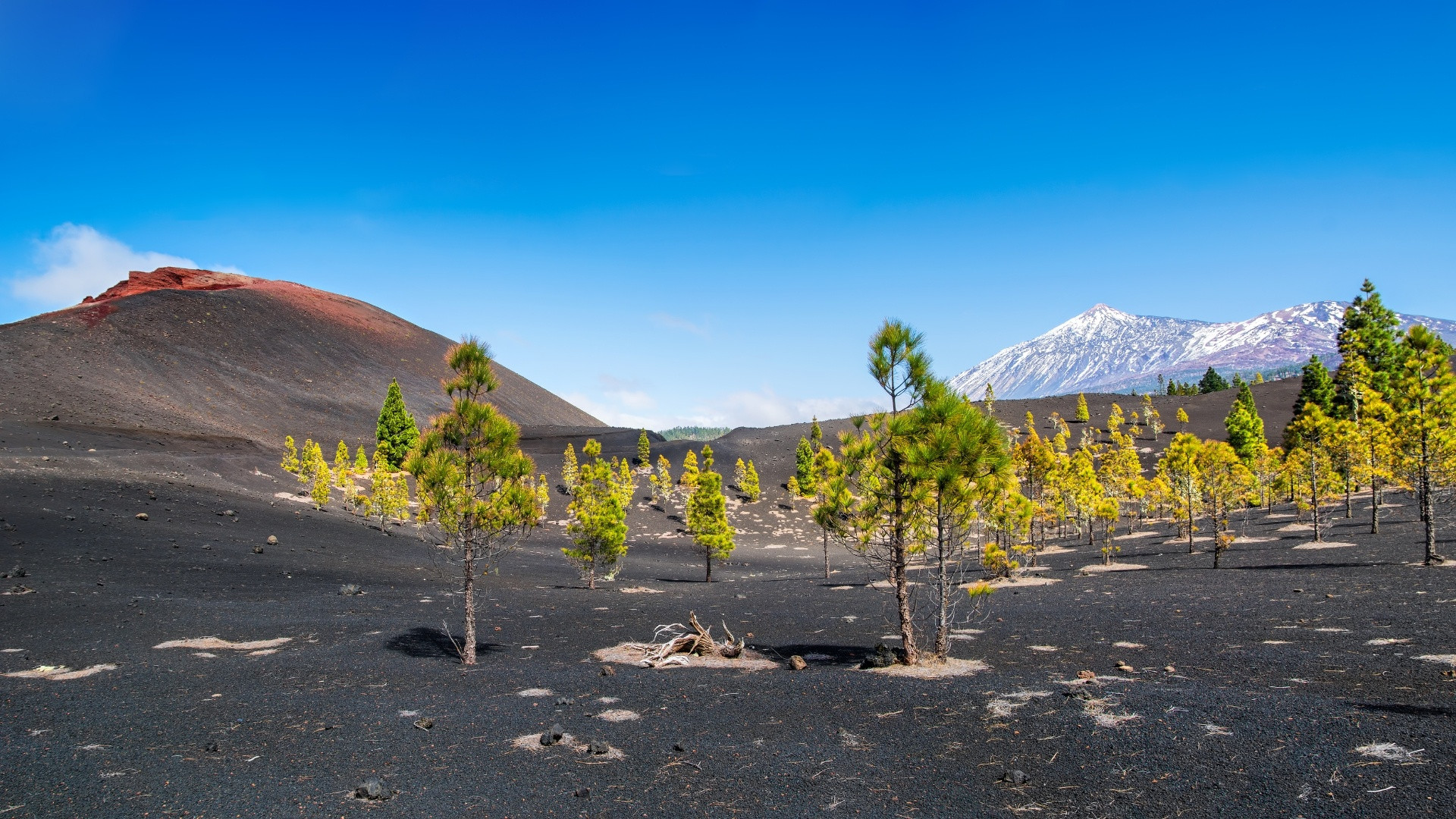 Arenas Negras - Tenerife - Isole Canarie - Spagna