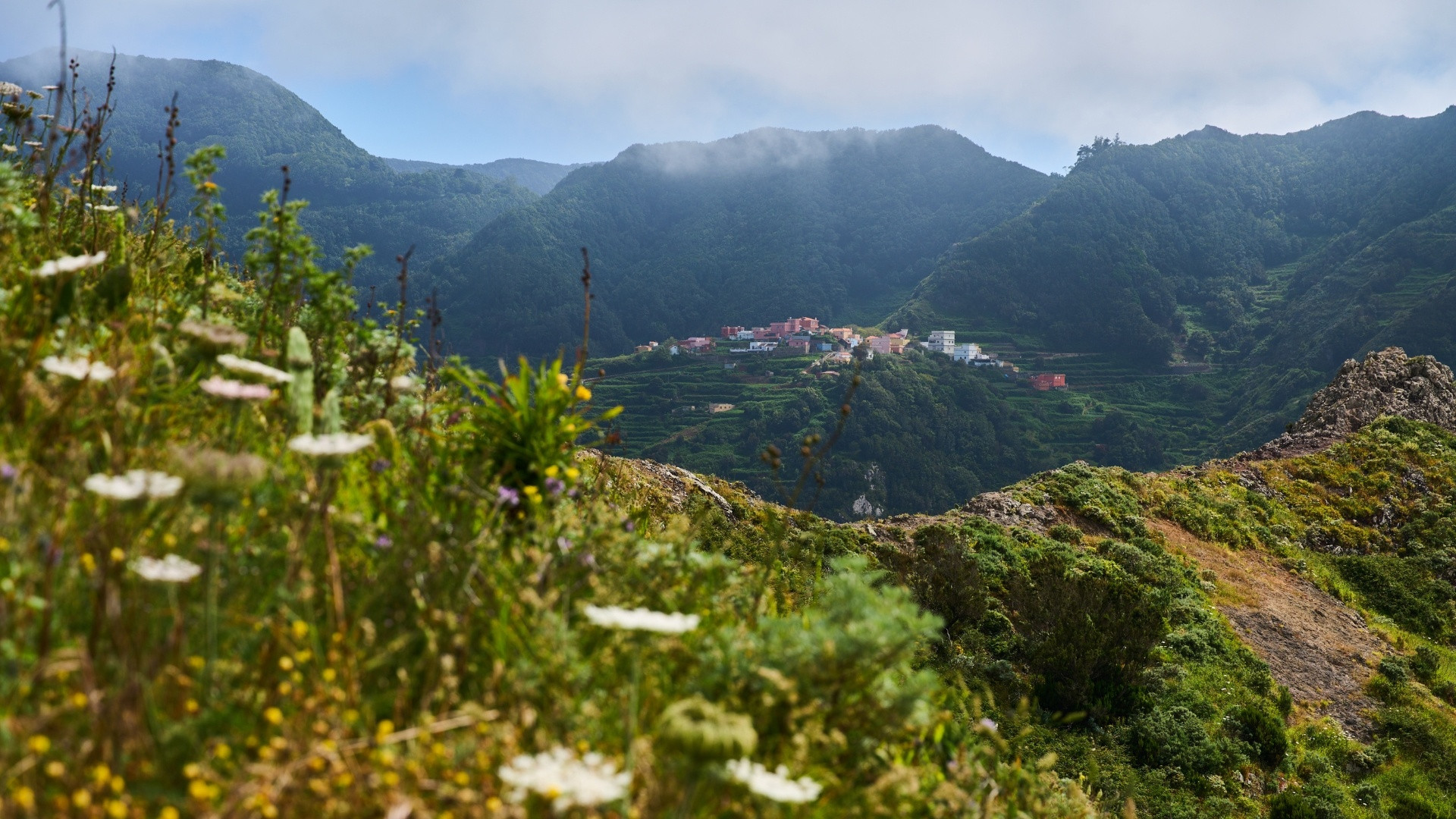 Las Carboneras - Tenerife - Isole Canarie - Spagna