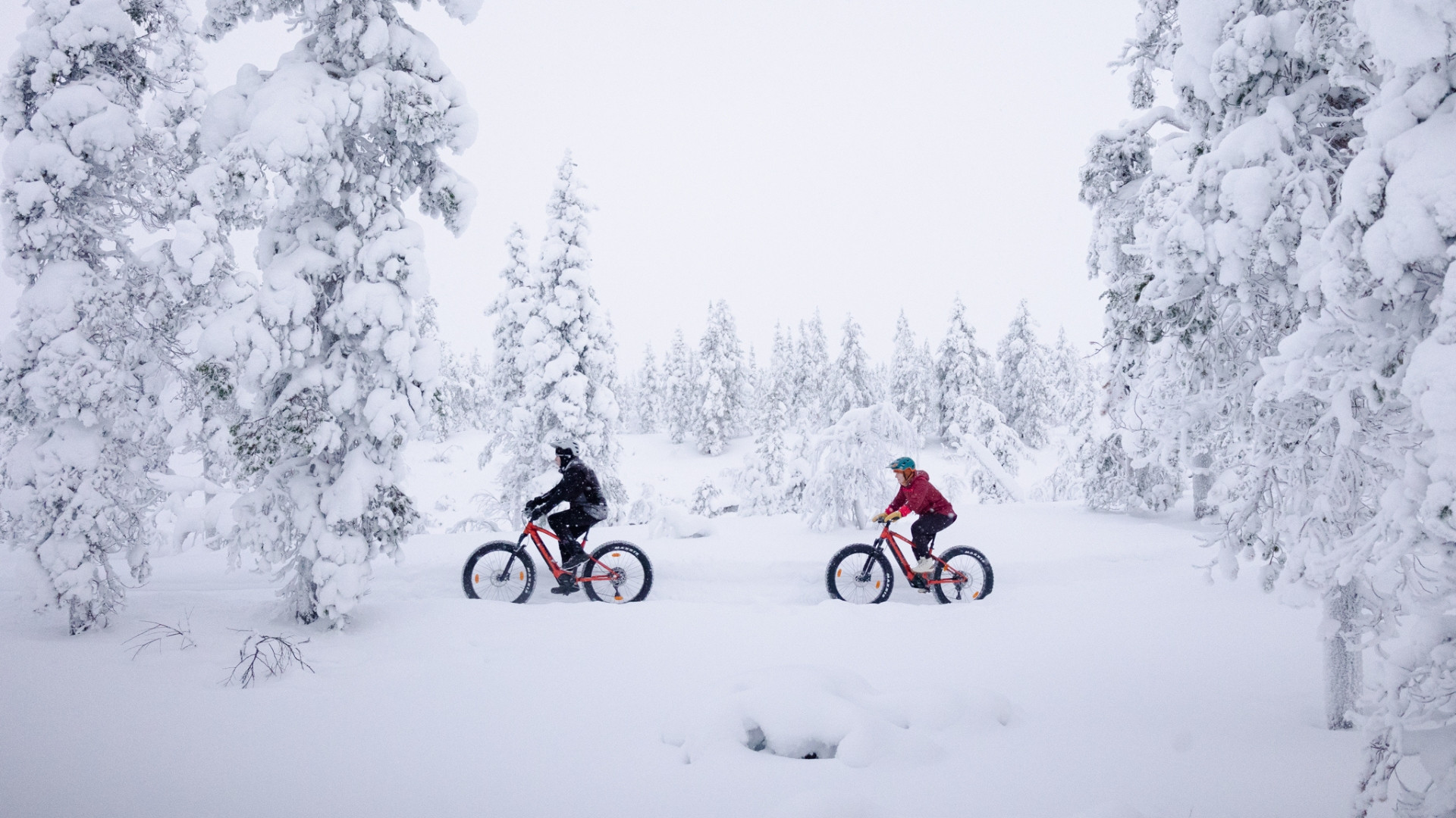 © Kiilopaa Lapponia finlandese - Kiilopää